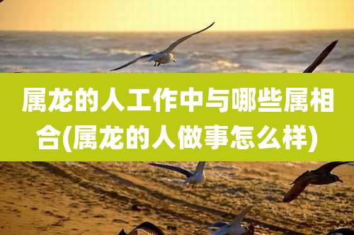 属龙的人工作中与哪些属相合(属龙的人做事怎么样)