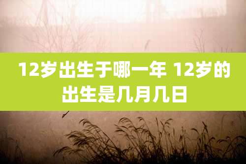 12岁出生于哪一年 12岁的出生是几月几日