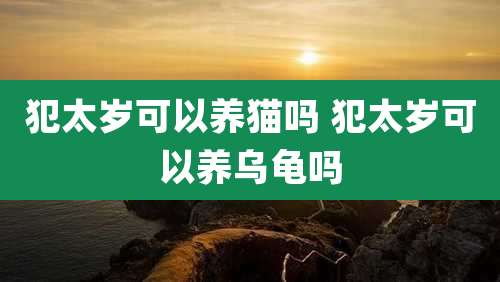 犯太岁可以养猫吗 犯太岁可以养乌龟吗