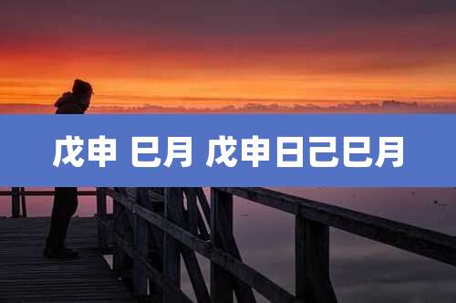 戊申 巳月 戊申日己巳月