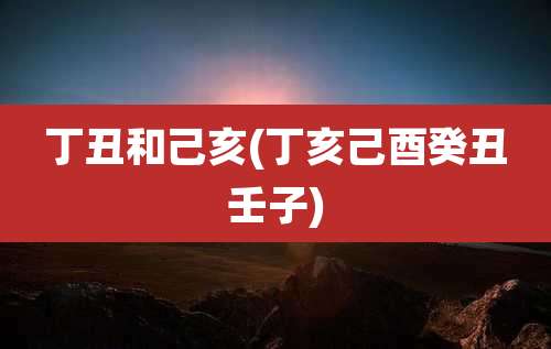 丁丑和己亥(丁亥己酉癸丑壬子)