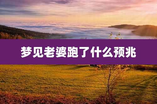 梦见老婆跑了什么预兆