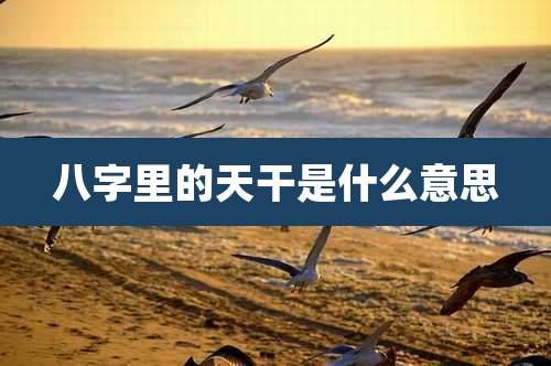 八字里的天干是什么意思