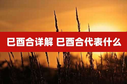 巳酉合详解 巳酉合代表什么