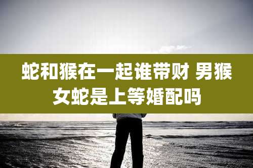 蛇和猴在一起谁带财 男猴女蛇是上等婚配吗