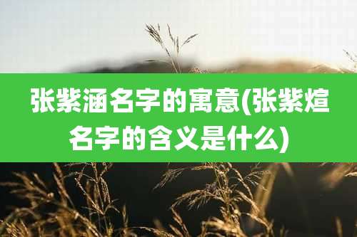 张紫涵名字的寓意(张紫煊名字的含义是什么)