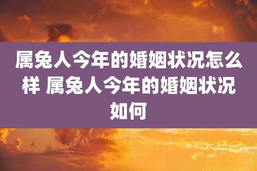 属兔人今年的婚姻状况怎么样 属兔人今年的婚姻状况如何
