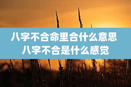 八字不合命里合什么意思 八字不合是什么感觉