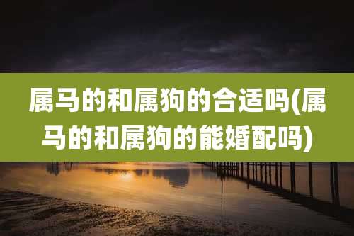 属马的和属狗的合适吗(属马的和属狗的能婚配吗)