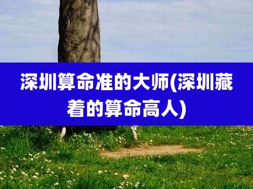 深圳算命准的大师(深圳藏着的算命高人)