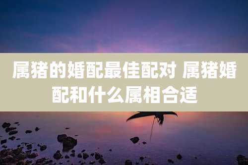 属猪的婚配最佳配对 属猪婚配和什么属相合适