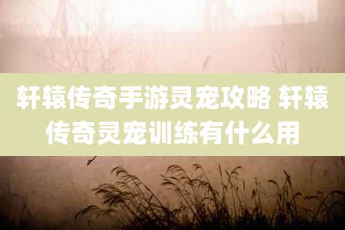 轩辕传奇手游灵宠攻略 轩辕传奇灵宠训练有什么用