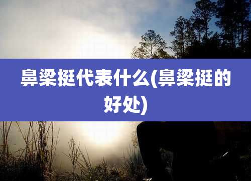 鼻梁挺代表什么(鼻梁挺的好处)