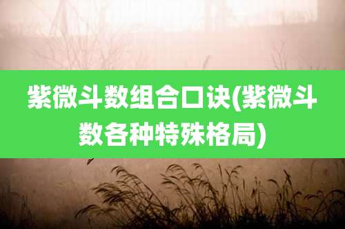 紫微斗数组合口诀(紫微斗数各种特殊格局)
