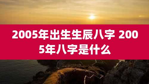 2005年出生生辰八字 2005年八字是什么