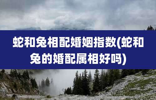 蛇和兔相配婚姻指数(蛇和兔的婚配属相好吗)