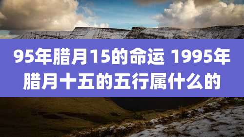 95年腊月15的命运 1995年腊月十五的五行属什么的