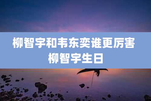 柳智宇和韦东奕谁更厉害 柳智宇生日