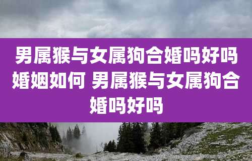 男属猴与女属狗合婚吗好吗婚姻如何 男属猴与女属狗合婚吗好吗