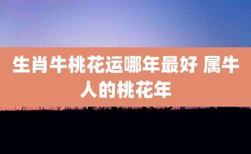 生肖牛桃花运哪年最好 属牛人的桃花年