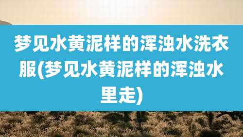 梦见水黄泥样的浑浊水洗衣服(梦见水黄泥样的浑浊水里走)