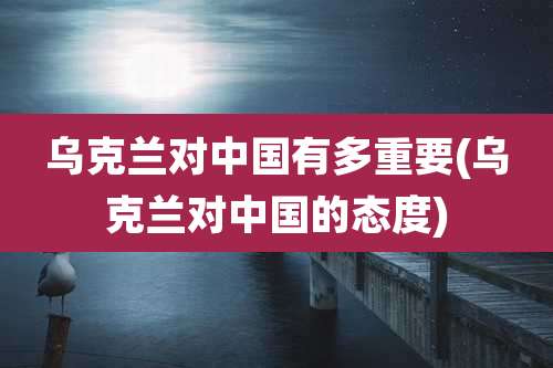 乌克兰对中国有多重要(乌克兰对中国的态度)