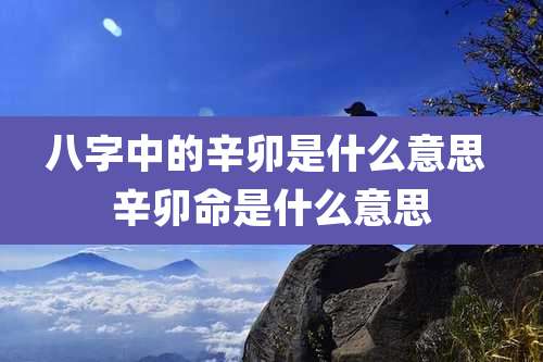 八字中的辛卯是什么意思 辛卯命是什么意思