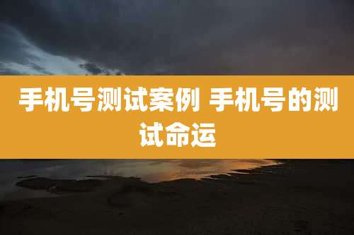 手机号测试案例 手机号的测试命运