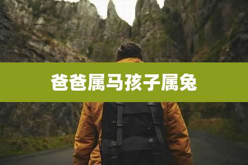 爸爸属马孩子属兔