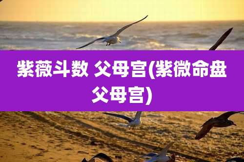 紫薇斗数 父母宫(紫微命盘父母宫)