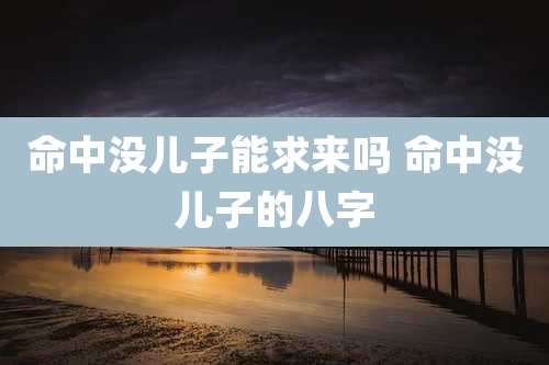 命中没儿子能求来吗 命中没儿子的八字
