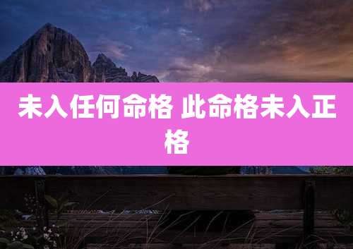 未入任何命格 此命格未入正格