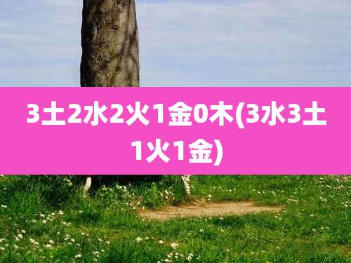 3土2水2火1金0木(3水3土1火1金)