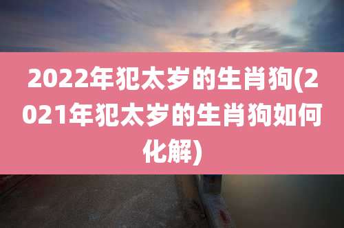2022年犯太岁的生肖狗(2021年犯太岁的生肖狗如何化解)
