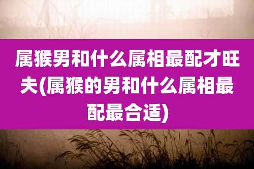 属猴男和什么属相最配才旺夫(属猴的男和什么属相最配最合适)