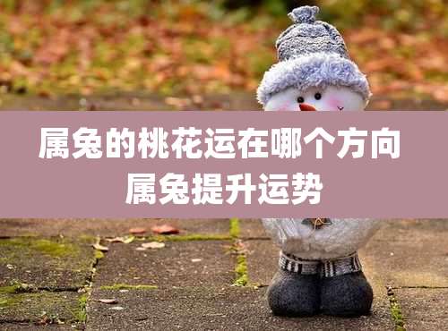 属兔的桃花运在哪个方向 属兔提升运势