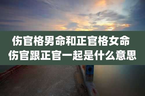 伤官格男命和正官格女命 伤官跟正官一起是什么意思