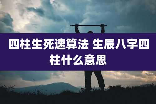四柱生死速算法 生辰八字四柱什么意思