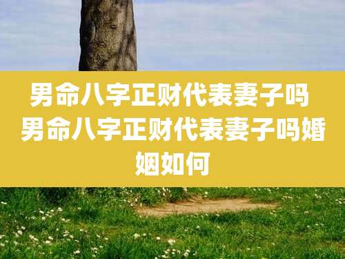 男命八字正财代表妻子吗 男命八字正财代表妻子吗婚姻如何
