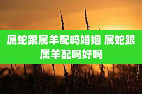 属蛇跟属羊配吗婚姻 属蛇跟属羊配吗好吗