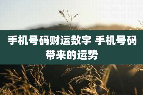 手机号码财运数字 手机号码带来的运势
