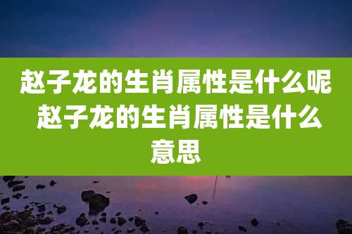 赵子龙的生肖属性是什么呢 赵子龙的生肖属性是什么意思