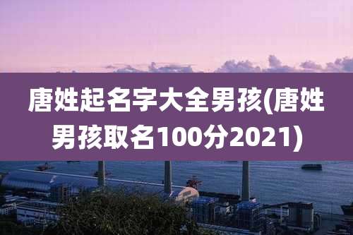 唐姓起名字大全男孩(唐姓男孩取名100分2021)