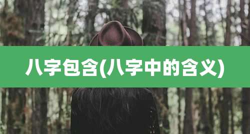八字包含(八字中的含义)