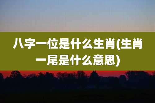 八字一位是什么生肖(生肖一尾是什么意思)