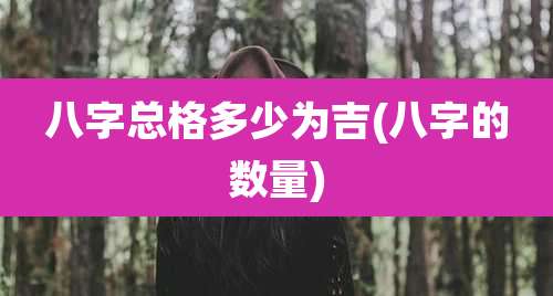 八字总格多少为吉(八字的数量)