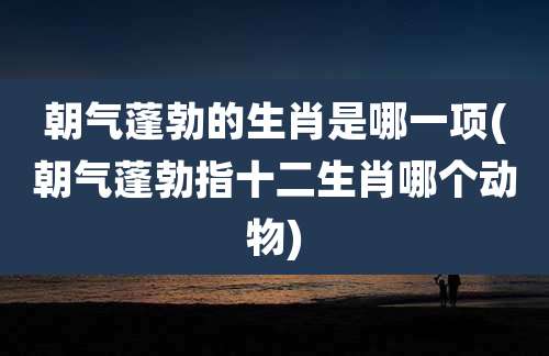 朝气蓬勃的生肖是哪一项(朝气蓬勃指十二生肖哪个动物)