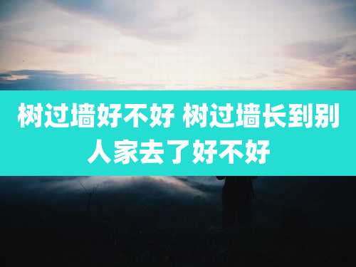 树过墙好不好 树过墙长到别人家去了好不好