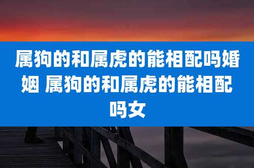 属狗的和属虎的能相配吗婚姻 属狗的和属虎的能相配吗女