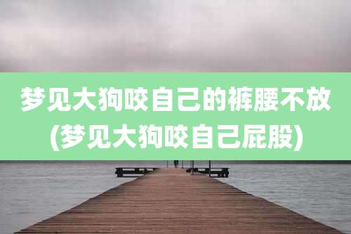 梦见大狗咬自己的裤腰不放(梦见大狗咬自己屁股)